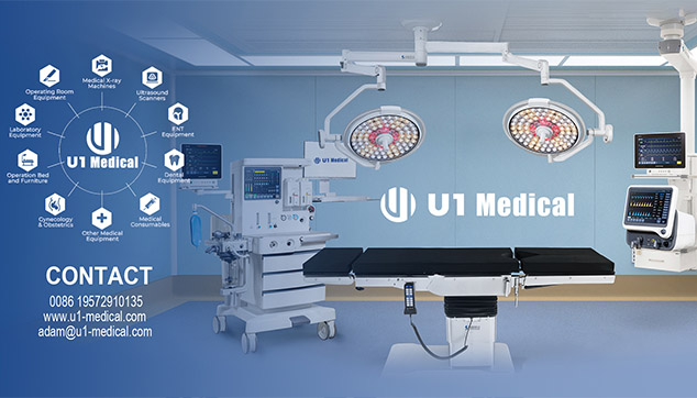 Why Choose Us